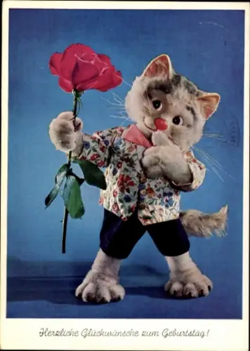Ak Glückwunsch Geburtstag, Katze mit Rose