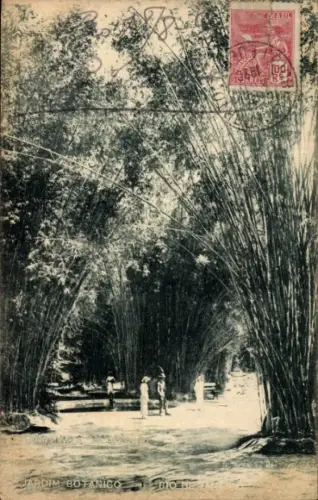 Ak Rio de Janeiro Brasilien, Botanischer Garten, Bambus, Menschen, Poststempel, 1920
