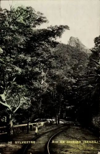 Ak Rio de Janeiro Brasilien, Bahnhof mit Gleisen, Bäume, Berg im Hintergrund
