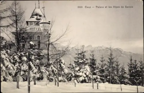 Ak Caux Montreux Kanton Waadt, Schneebedeckte Landschaft, Palace, Alpen, Caux