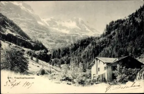 Ak Trachsellauenen Lauterbrunnen Kanton Bern, Haus, Wald, Berge