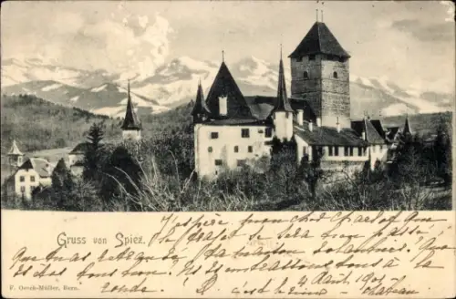 Ak Spiez am Thuner See Kanton Bern