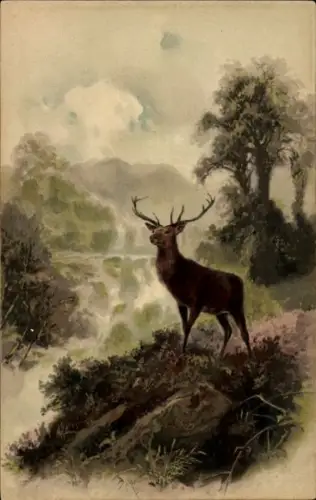 Ak Landschaft, Hirsch