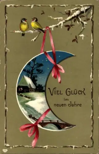 Präge Ak Glückwunsch Neujahr, Mond, Vögel auf einem Ast