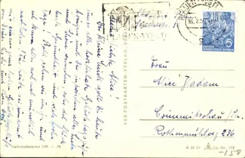 Ak Katze, Tierportrait