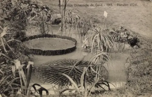 CPA Exposition Universelle de Gand 1913, Floralies d'Ete