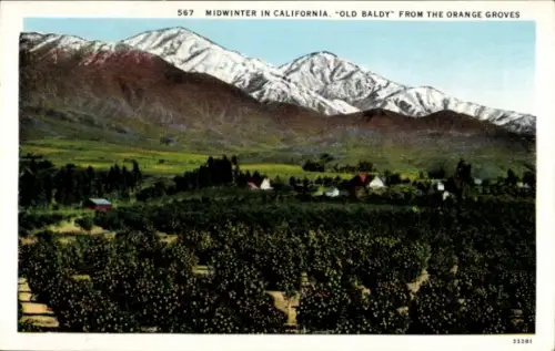 PC Kalifornien USA, Midwinter, Old Baldy, Orange Groves