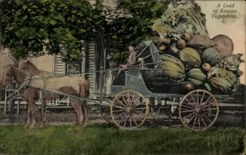 Ak Kansas USA, Pferdefuhrwerk beladen mit Gemüse