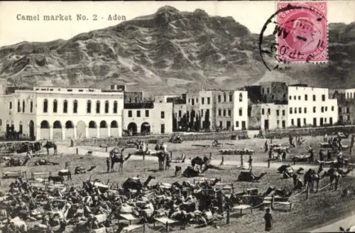 Ak Aden Jemen, Kamelmarkt, Gebäude im Hintergrund, Kamele, Landschaft, Menschen