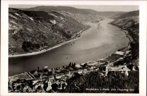 Ak Bacharach am Rhein, Landschaftsansicht vom Rhein, Flugaufnahme, Burg, Weinberge