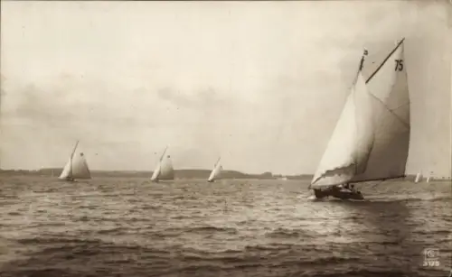 Ak Seepanorama, Segelboote, Segeln