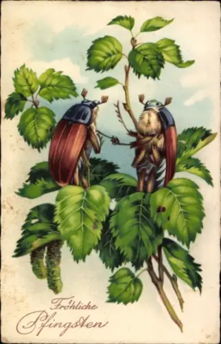 Litho Glückwunsch, Pfingsten, Maikäfer