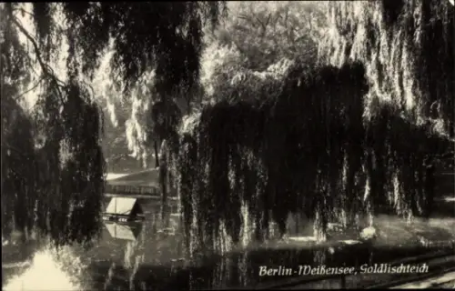 Ak Berlin Weißensee, Goldfischteich