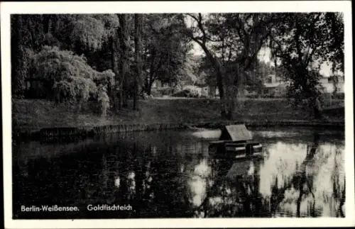 Ak Berlin Weißensee, Goldfischteich