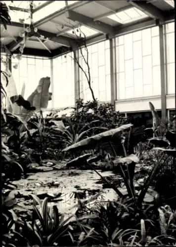 Ak Berlin Lichtenberg Friedrichsfelde, Tierpark, Alfred Brehm Haus, Tropenhalle