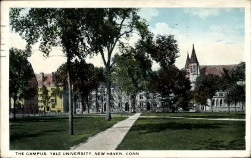 Ak New Haven Connecticut USA, Yale University Campus, Bäume, Weg, Gebäude, 