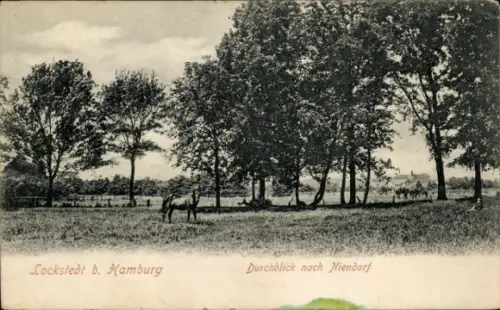 Ak Hamburg Eimsbüttel Lokstedt, Durchblick nach Niendorf, Partie an einer Pferdekoppel