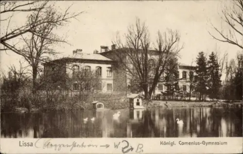 Ak Lissa Leszno Poznań Posen,  Königl. Comenius-Gymnasium, Teich mit Schwänen, Bäume
