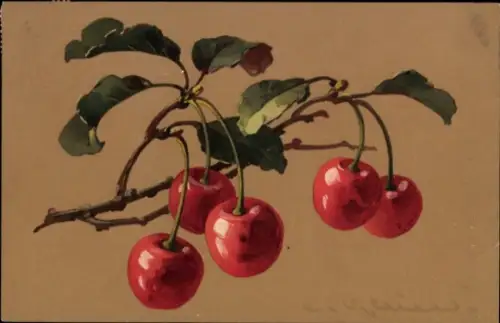 Künstler Ak Klein, Catharina, Kirschen am Zweig, Meissner & Buch 1895