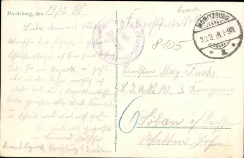 Ak Moritzburg in Sachsen, Hirsche