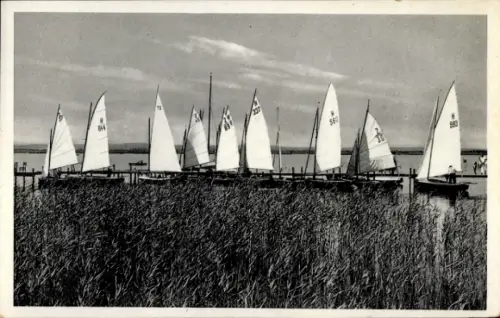 Ak Segeln, Segelboote