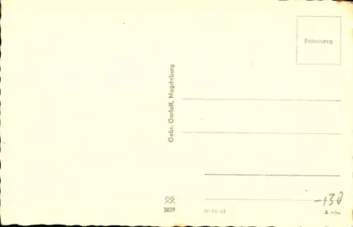 Ak Hauskatze, Katzen-Portrait, Tier-Portrait