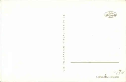 Ak Katze, Kätzchen, Tierportrait