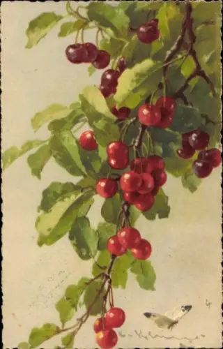 Künstler Ak Catharina Klein, Kirschen an einem Zweig, Schmetterling