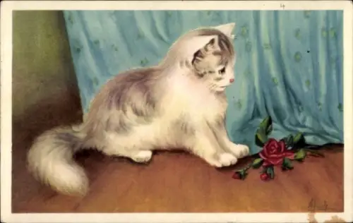 Künstler Ak Katze, Rose, Vorhang