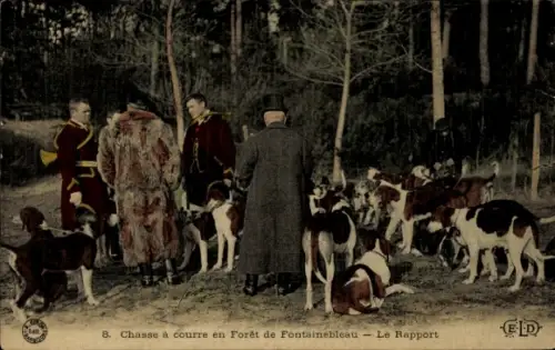 CPA Chasse a couree en Foret de Fontainebleau, Le Rapport