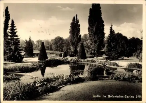 Ak Berlin Zehlendorf Dahlem, Partie im Botanischen Garten