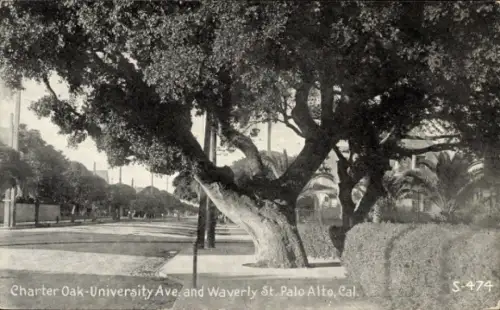 PC Palo Alto Kalifornien USA, Charter Oak, University Ave, Waverly Street