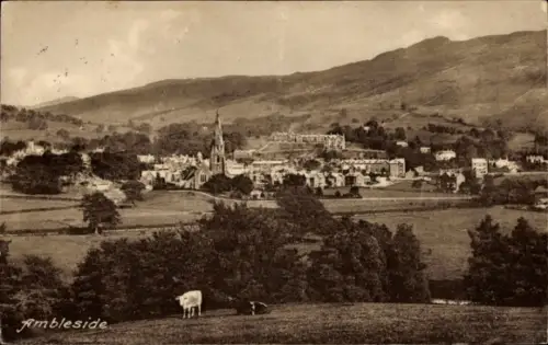 Ak Ambleside Lake District Cumbria England,  Landschaft, Kirche, Gebäude, Kühe