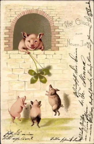 Ak Glückwunsch Neujahr, Schweine, Kleeblatt