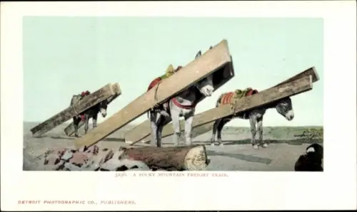 Ak Lastenzug in den Rocky Mountains, Esel transportieren Holzbalken