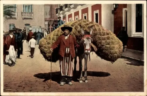 Ak Sevilla Andalusien, Vendedor de paja, Strohhändler, Esel