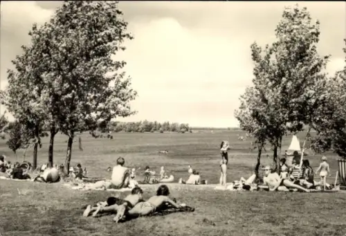 Ak Knappenrode Hoyerswerda in der Oberlausitz, Badegäste am Knappensee, Wiese, Bäume, Sommerzeit
