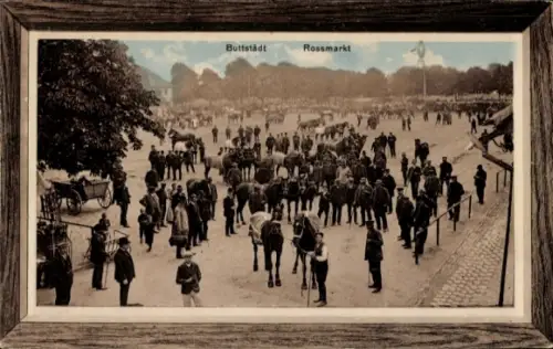 Passepartout Ak Buttstädt Thüringen, Rossmarkt, Pferdemarkt