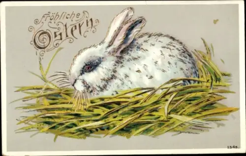Ak Glückwunsch Ostern, Osterhase