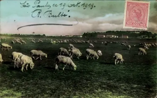 Ak Landschaft, grasende Schafe