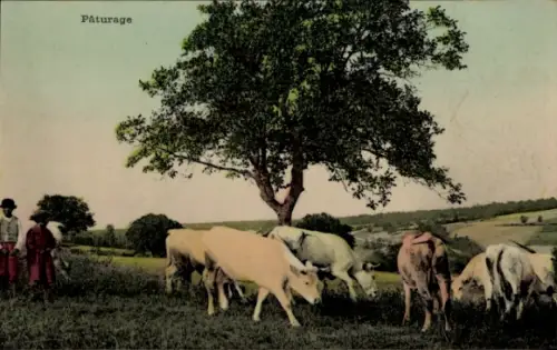 Ak Kinder und Kühe auf der Wiese, Landwirtschaft