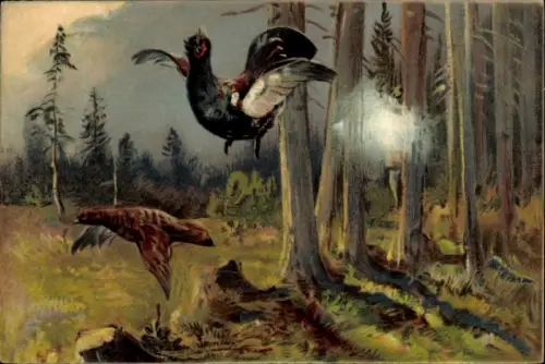 Ak Jagdszene, Jäger schießt auf Vögel