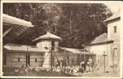 Ak Pressoirs du Roy Seine et Marne, Ecole d'Horticulture des Pressoirs du Roy