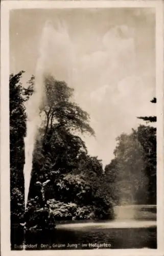 Ak Düsseldorf am Rhein, Grüner jung, Hofgarten