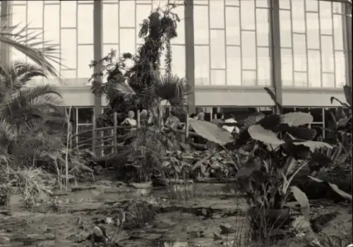Ak Berlin Lichtenberg Friedrichsfelde, Tierpark Berlin, Tropenhalle im Alfred Brehm Haus
