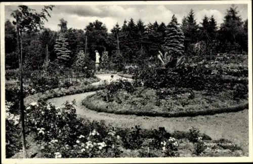 Ak Sangerhausen am Südharz, Gartenlandschaft, Statue, Rosenbeete, Sangerhausen