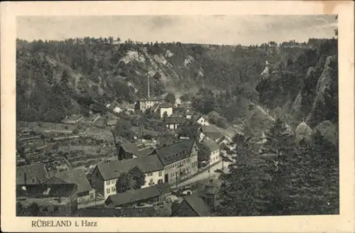 Ak Rübeland Oberharz am Brocken, Rübeland i. Harz, Landschaft, Häuser, Bäume, 