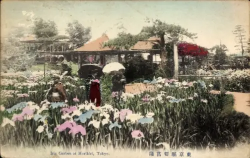 Ak Tokyo Tokio Japan, Iris Garten, Horikiri,  Menschen mit Regenschirmen, Blumenfeld