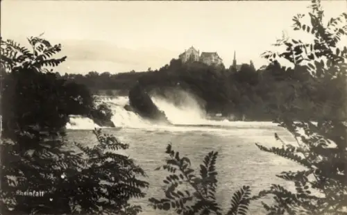 Ak Rheinfall Kanton Schaffhausen,  Wasserfall, Landschaft, Bäume, Foto Bayer