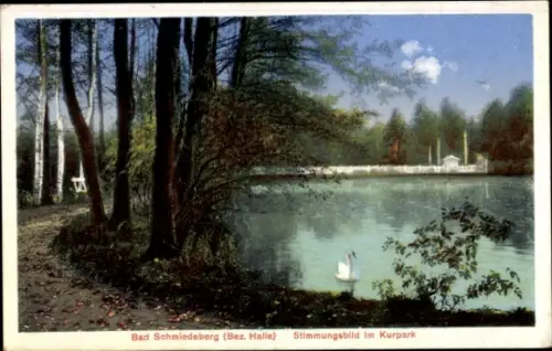 Ak Bad Schmiedeberg in der Dübener Heide,  Kurpark, See, Schwan, Bäume, 
